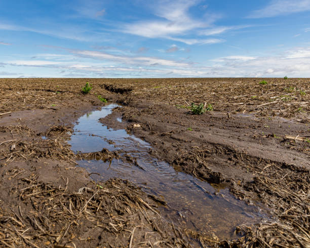 ulewne deszcze i powodzie na środkowym zachodzie spowodowały erozję gleby na polu uprawnym - storm wheat storm cloud rain zdjęcia i obrazy z banku zdjęć