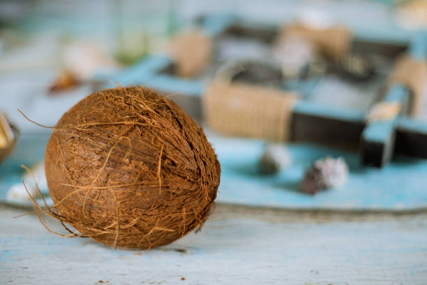 istock Summer composition coconut, sea shells on pastel blue plank flat lay concept 1154488159