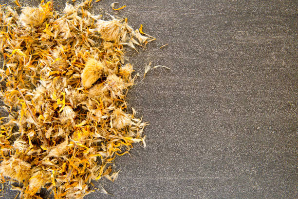 Dried yellow Arnica Flowers  on gray / grey slate background