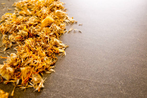 istock Dried yellow Arnica Flowers  on gray / grey slate background 1154490537