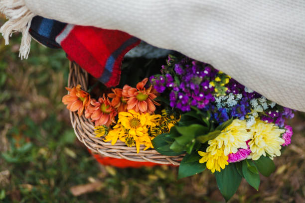 istock Colorful flowers in a basket 1154491903