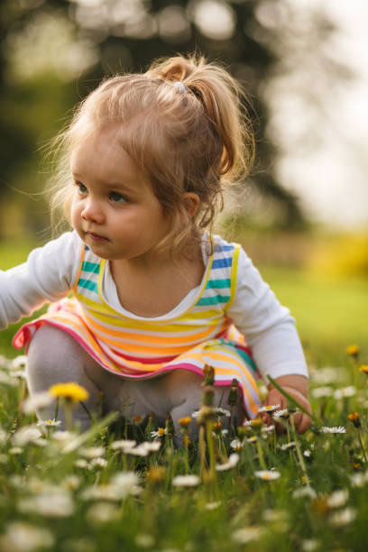 istock Little lady picking flowers 1154491924