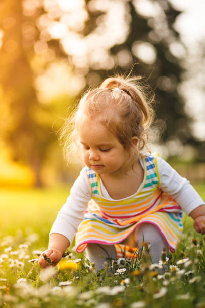 istock Picking flowers at the meadow 1154491931