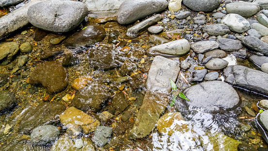 A shallow river water and some river rocks. The water is so clear that underlying pebbles can be seen.