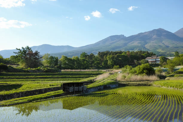 Spring landscape with water in rice paddy View at Nagano Japan satoyama scenery stock pictures, royalty-free photos & images