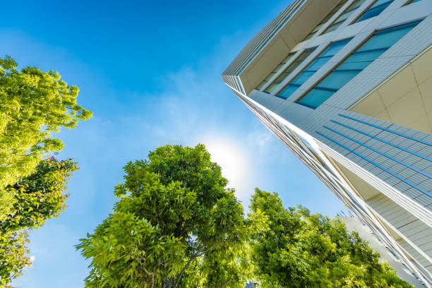 istock Fresh green and urban buildings 1154514903