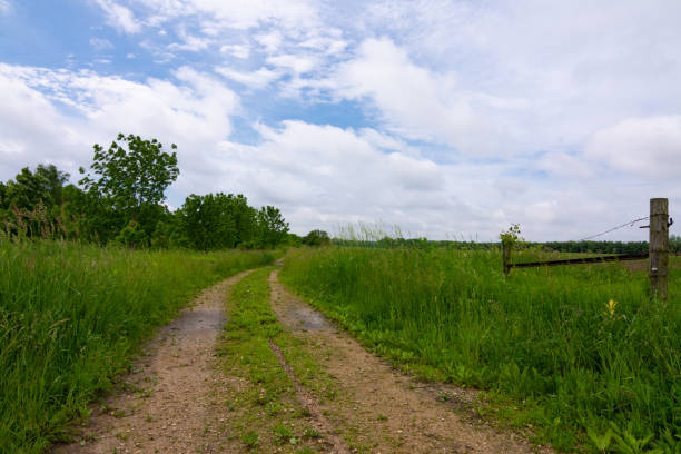 istock Dirt road through the countryside 1154515731