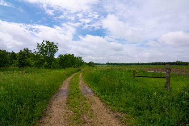istock Dirt road through the countryside 1154515747