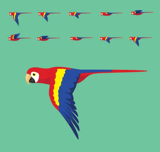 Vector illustration of Animation Macaw Flying Cute Cartoon Vector Illustration