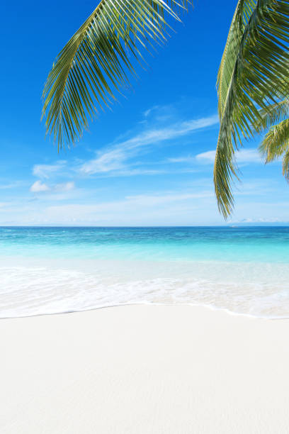 istock Beautiful tropical seascape 1154517689