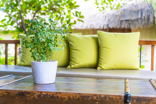 istock Vase plant on table decoration with pillow on sofa chair 1154524675