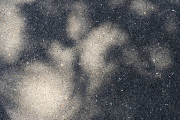 istock Asphalt surface with the shadow of tree branches on a bright sunny day close up. Abstract background 1154524905