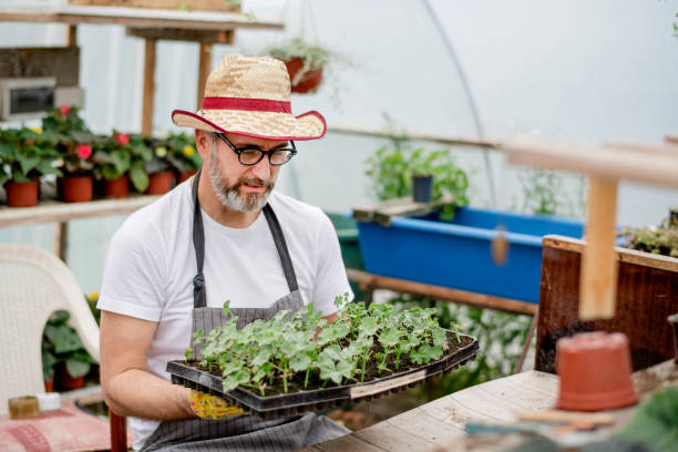 istock Greenhouse florist 1154531006
