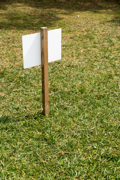 istock BackCartel in the meadow 1154531851