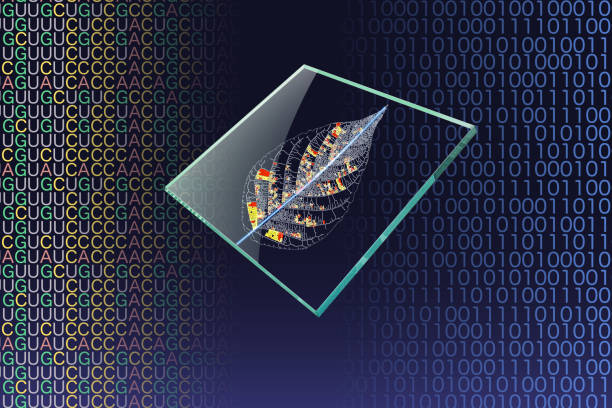 imagen de ingeniería genética y microarray de adn. en las obleas transparentes la información genética de las venas se muestra en el monitor. en el fondo, hay código binario y código base del código básico de mrna. - microarray fotografías e imágenes de stock