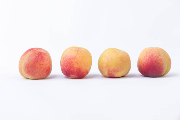 Beautiful color compositions of apricots in a line. White background