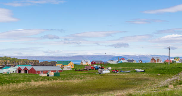 wioska z domami mieszkalnymi i łąką na pierwszym planie i fiordem morskim z błękitnym niebem w tle, wyspa flatey, islandia - flatey zdjęcia i obrazy z banku zdjęć