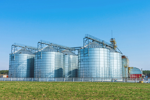 silver silos on agro manufacturing plant for processing drying cleaning and storage of agricultural products, flour, cereals and grain