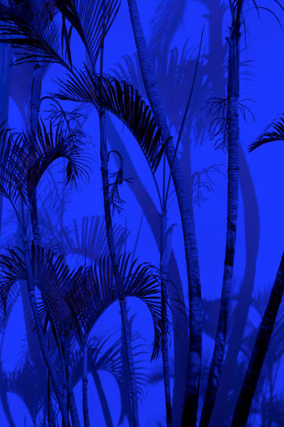 istock Group of close up decorative palm trees and their shadows on building wall 1154540388