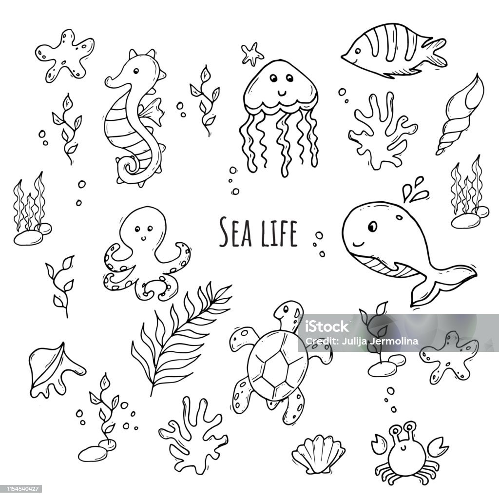 Black And White Set Of Various Sea Animals Stock Illustration - Download  Image Now - Doodle, Fish, Turtle - iStock