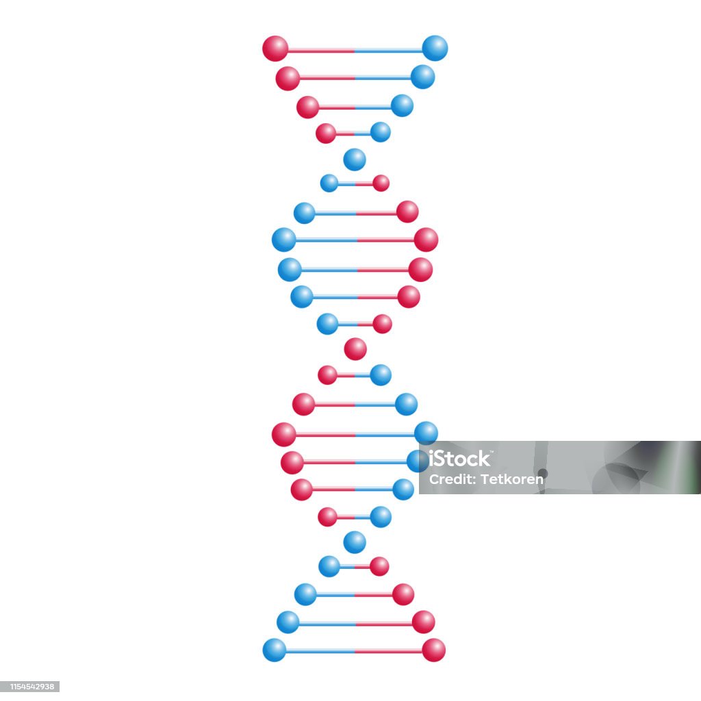Vektör DNA molekül, kromozomlar ile yapı. Genetik kod ile Helix spiral. Moleküler Biyoloji ve genetik mühendislik çalışmaları kavramı. Biyoteknoloji ve genler bilimi, eğitim tasarım elemanı - Royalty-free Araştırma Vector Art