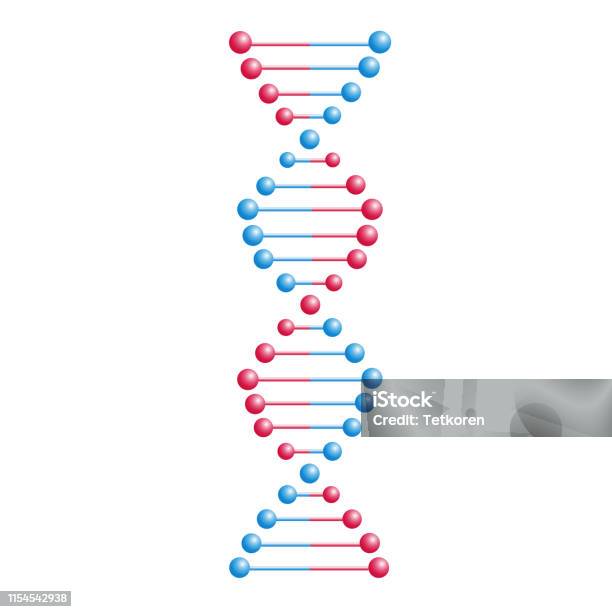 Vektör Dna Molekül Kromozomlar Ile Yapı Genetik Kod Ile Helix Spiral Moleküler Biyoloji Ve Genetik Mühendislik Çalışmaları Kavramı Biyoteknoloji Ve Genler Bilimi Eğitim Tasarım Elemanı Stok Vektör Sanatı & Araştırma‘nin Daha Fazla Görseli