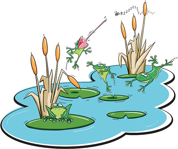 개구리 연못 - frog jumping pond water lily stock illustrations