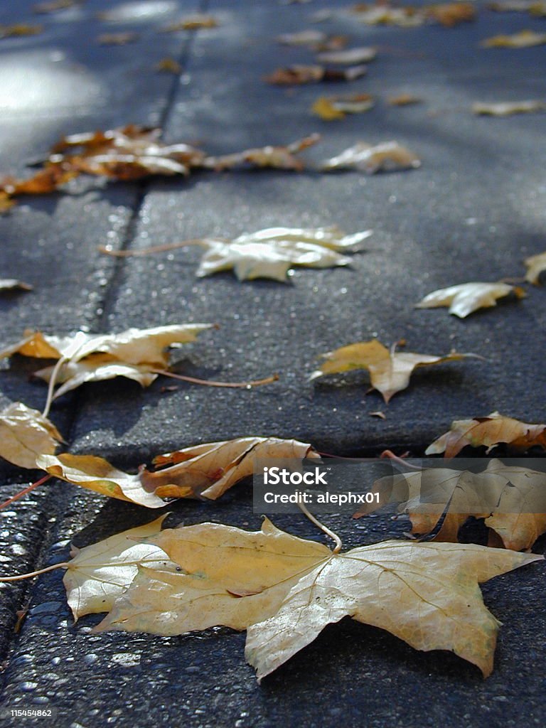 L'automne trottoir - Photo de La Fin libre de droits