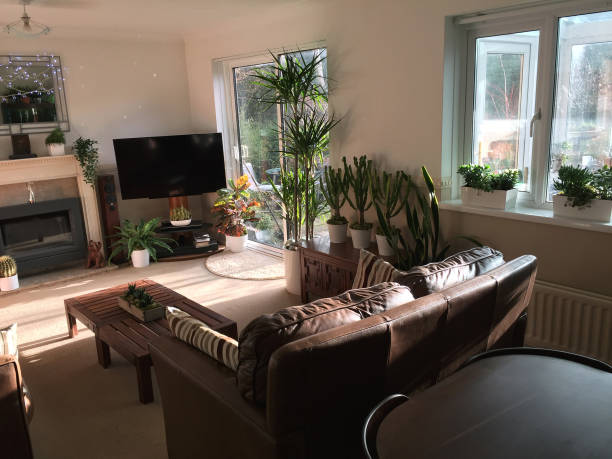 istock Image of modern lounge sitting room home interior with brown leather sofas, fake artificial house plants, bamboo, plastic silk palms, coffee table, contemporary stylish room in house south facing sunny garden, gas fire, TV stand pedestal 1154555912