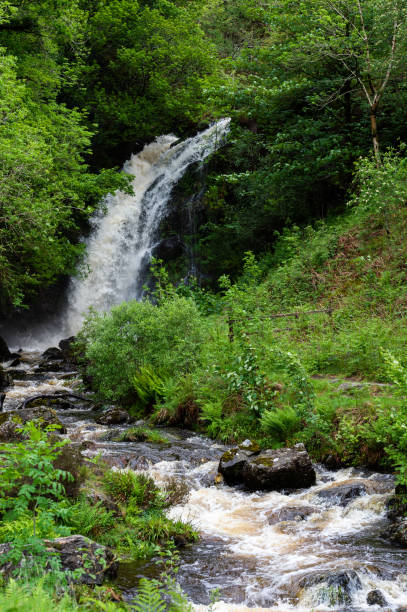 istock Scottish waterfall in Dumfries and Galloway 1154559682