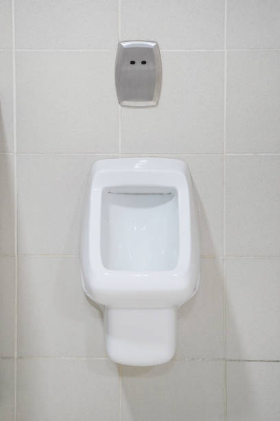 istock White toilet in the bathroom 1154562688