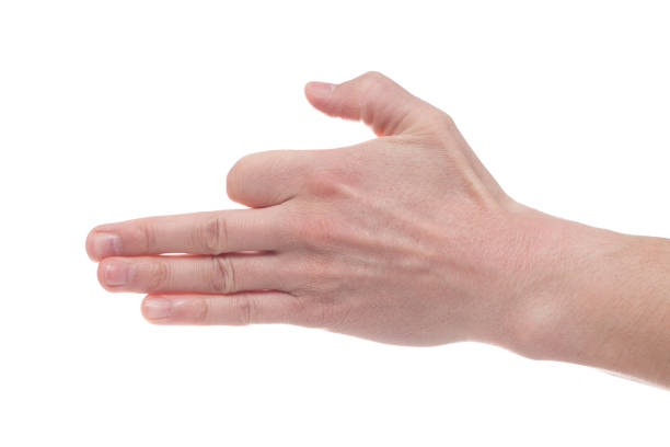 istock Hand gesture like dog face isolated on white background 1154565280