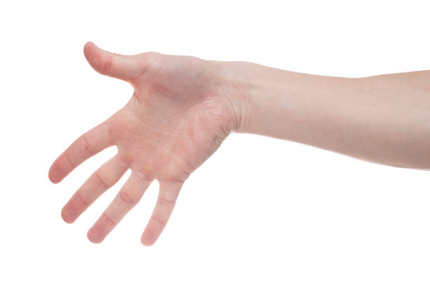 istock Man showing number five on white background. Male hand 1154565950