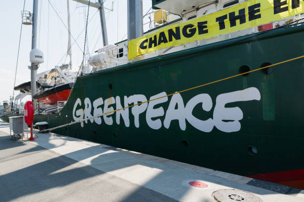 Greenpeace Rainbow Warrior sailing ship at the Port of Burgas, Bulgaria. Greenpeace is a non-governmental environmental organization with offices in over 39 countries Burgas, Bulgaria - June 7, 2019: Greenpeace Rainbow Warrior sailing ship at the Port of Burgas, Bulgaria. Greenpeace is a non-governmental environmental organization with offices in over 39 countries. greenpeace activists stock pictures, royalty-free photos & images