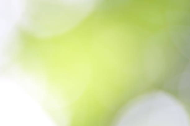 istock nature tree green gradient very soft blur background bokeh light green abstract 1154568169