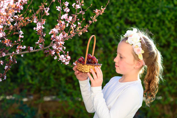 porträt entzückende kleine mädchen mit korb der früchte im freien. sommer oder herbst. ernte. shavuot. - child little girls single flower flower stock-fotos und bilder