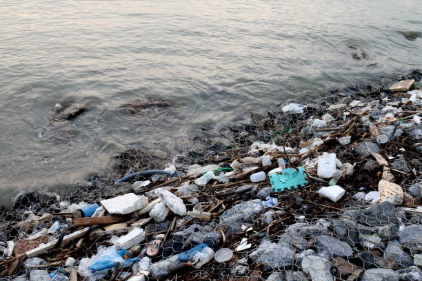 istock Waste seaside, Garbage on beach Pollution, Waste trash in river, Toxic waste, Wastewater, Dirty water in river 1154569676