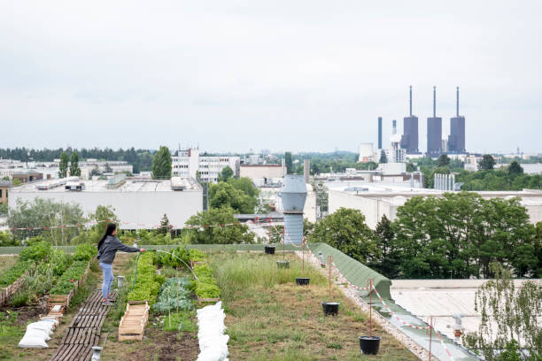 a mulher nova molha plantas em um jardim urbano na frente de uma central eléctrica - built structure green business city - fotografias e filmes do acervo