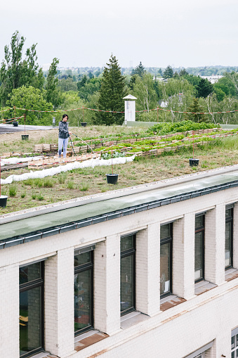 industrial building, urban garden, rooftop, people, gardening
