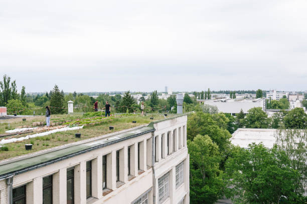 промышленное здание с городским садом на крыше, люди делают садоводство - vegetable garden urban scene city life community garden стоковые фото и изображения