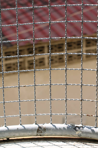 istock Mushroom barbed wire cage inside detention Within steel cage, nick iron net wall wire metal square grid fence to prevent 1154570321