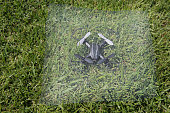 quadcopter-gitter-gras-hintergrund-niemand.jpg?b=1&s=170x170&k=20&c=0a0K-h5hj9f_--dv9durEUj5WhfQ347NQMGCxZ3DY54=