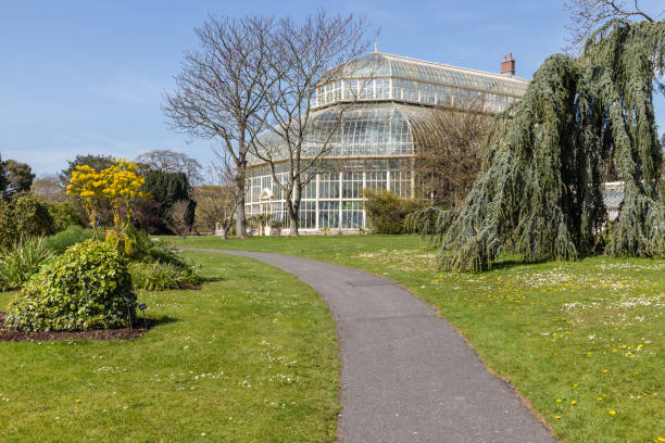 istock Spring garden with grass and coloured flowers 1154578534