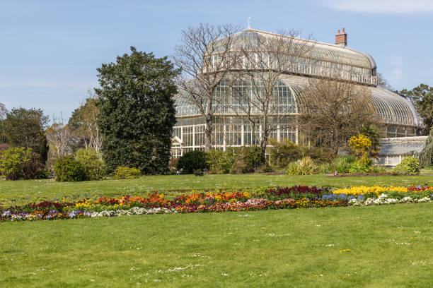 istock Spring garden with grass and coloured flowers 1154578597
