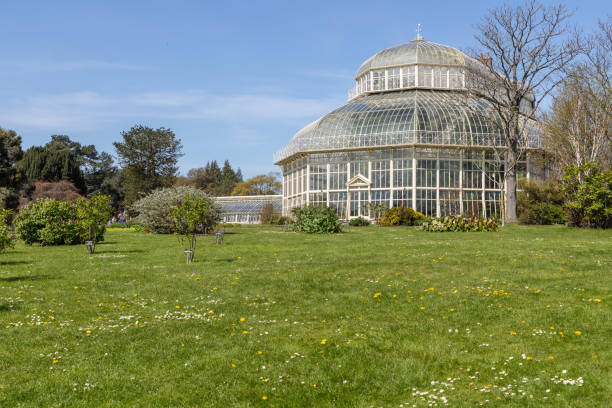 istock Glass house in Botanic garden 1154579622
