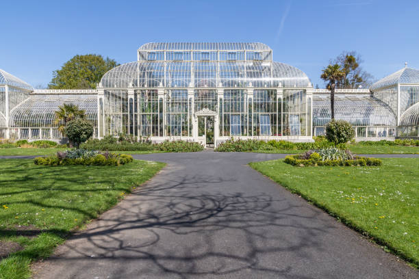 istock Glass house in Botanic garden 1154579635