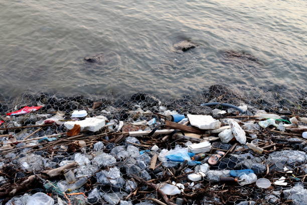 istock Waste seaside Pollution, Garbage on beach, Waste trash in river, Toxic waste, Wastewater, Dirty water in river 1154579696