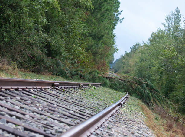 istock Railroad tracks blocked after a hurricane 1154583268