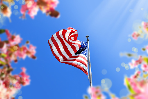 close up waving American flag at flagpole and flowers over blue clear sky