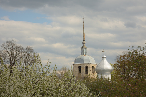 Church towers through trees